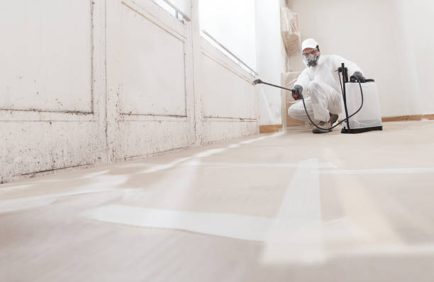 24/7 Emergency Crawl Space Mold Remediation experts in Williamsburg, FL